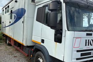 Eurocargo trasporto cavalli