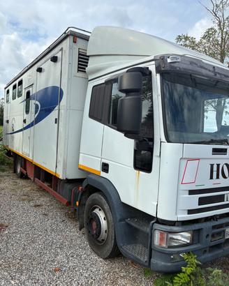 Eurocargo trasporto cavalli