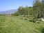 Immagine 22