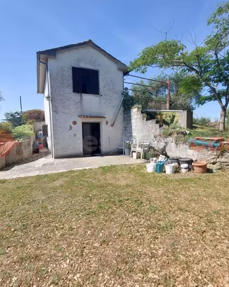 Terreno Agricolo Scansano [Cod. rif 3240219VCG]