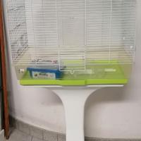 Gabbietta per uccellini