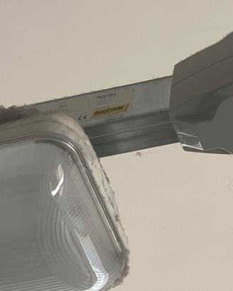 Blindo zucchini neon led