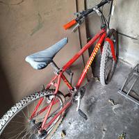bici  vecchia da stazione