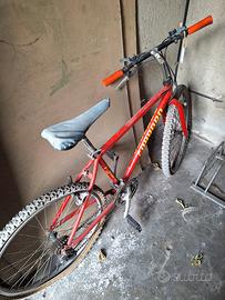 bici  vecchia da stazione