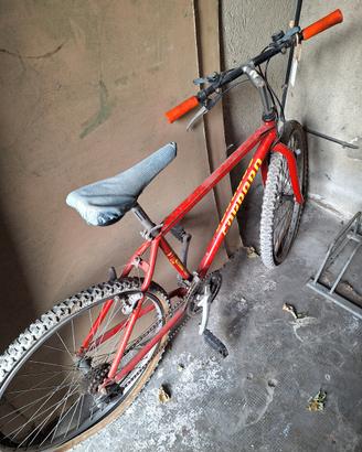 bici  vecchia da stazione