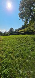Terreno Angolo Terme (BS)