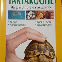tartarughe da giardino e da acquario 