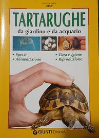 tartarughe da giardino e da acquario 