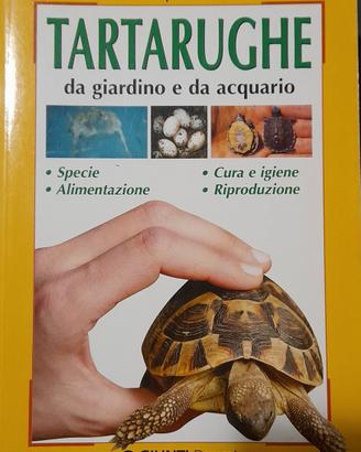tartarughe da giardino e da acquario 