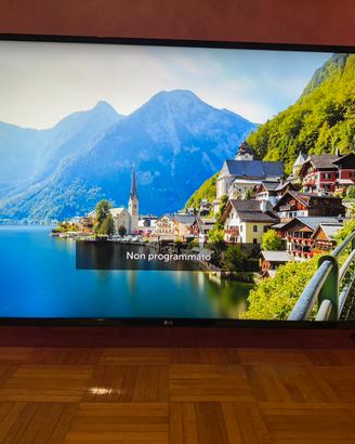 TV LG 49" 4K Ultra HD