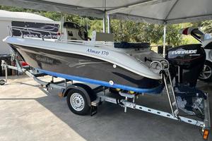 Open Tecnofiber evinrude etec 40/60 carrello