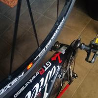 WILIER TRIESTINA