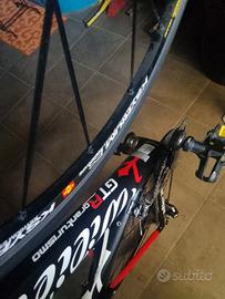 WILIER TRIESTINA