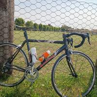 Bottecchia