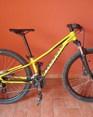 specialized pich xs