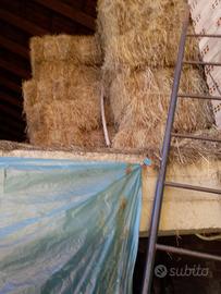Fieno a ballette..raccolto 2024