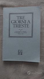 Tre giorni a Trieste