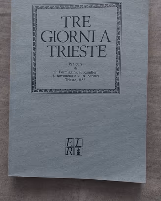 Tre giorni a Trieste