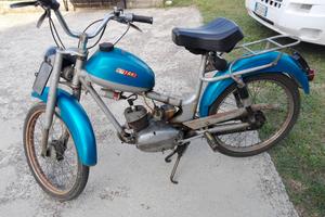Gitan Grillo epoca