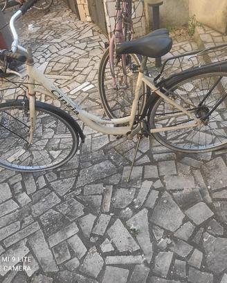bici cinzia