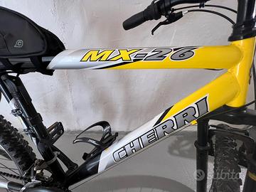 Biciclata per adulti