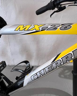 Biciclata per adulti