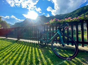 Bici Colnago - Nuova