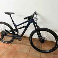 MTB ENDURO CANNONDALE 29