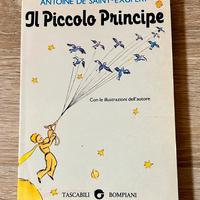 Libro: Il piccolo principe