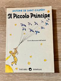 Libro: Il piccolo principe