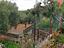 Immagine 26