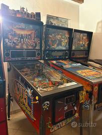 Cactus remake limited plus