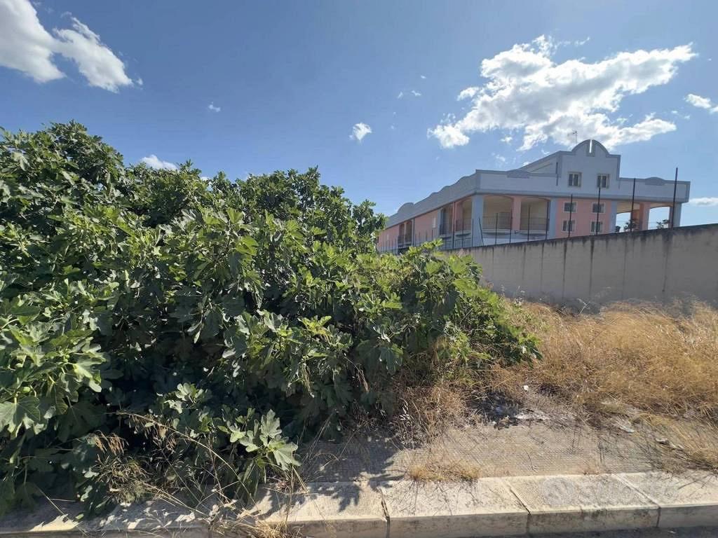 Immobile in asta di 13458 m² a Andria - Vista 5