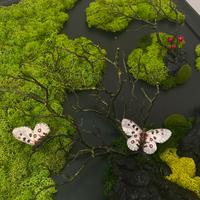 Quadro con il muschio stabilizzato