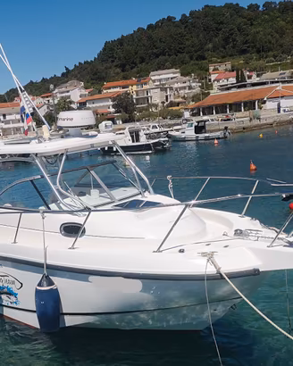 BOSTON WHALER CONQUEST 255