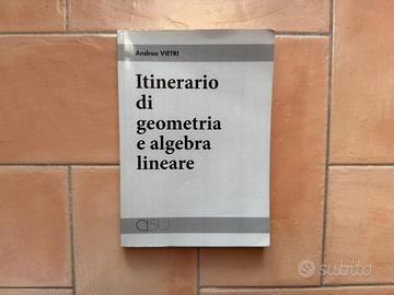 Libro GEOMETRIA E ALGEBRA LINEARE - A. Vietri
