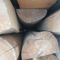 tronchi di albero  di cipresso siciliano
