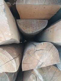 tronchi di albero  di cipresso siciliano