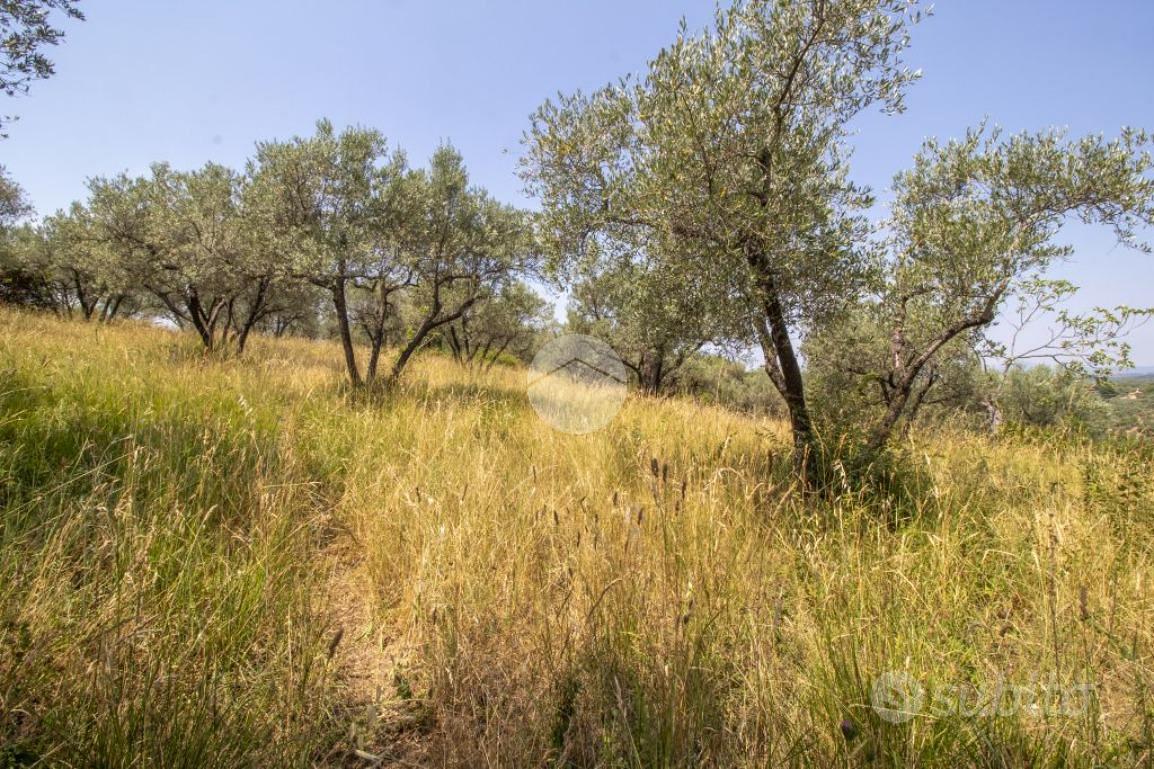 RUSTICO A PALOMBARA SABINA - Vista 5
