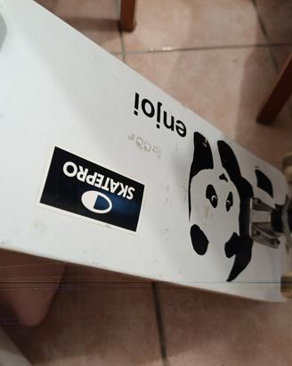 skateboard skaterpro