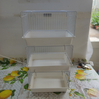 Canarini bagnetti