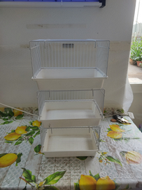 Canarini bagnetti