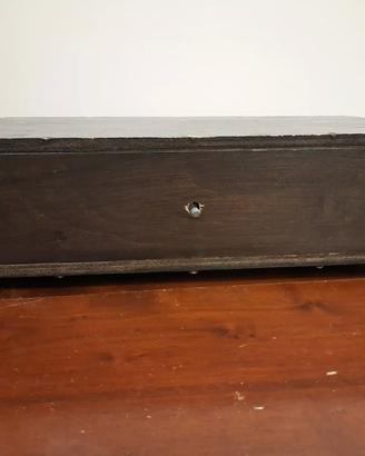 Amplificatore Gainclone Autocostruito da Sistemare