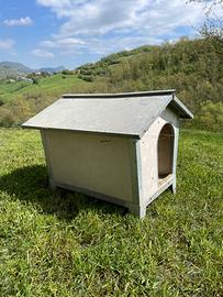 Cuccia per cani