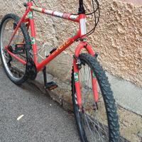 Bicicletta MTB 26