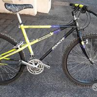 Bianchi ragno theridion