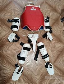 protezione taekwondo 