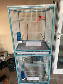 Voliera Pawhut azzurra + canarini
