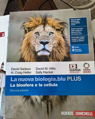 libri scolastici