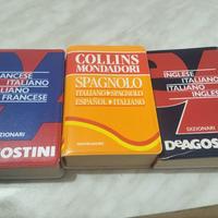 dizionario tascabile 